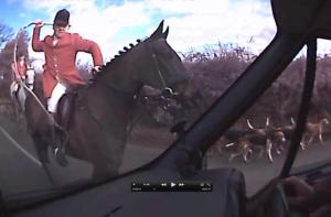 419287_410016919015579_1231111641_n