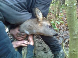 479328_393768904041389_988583841_o